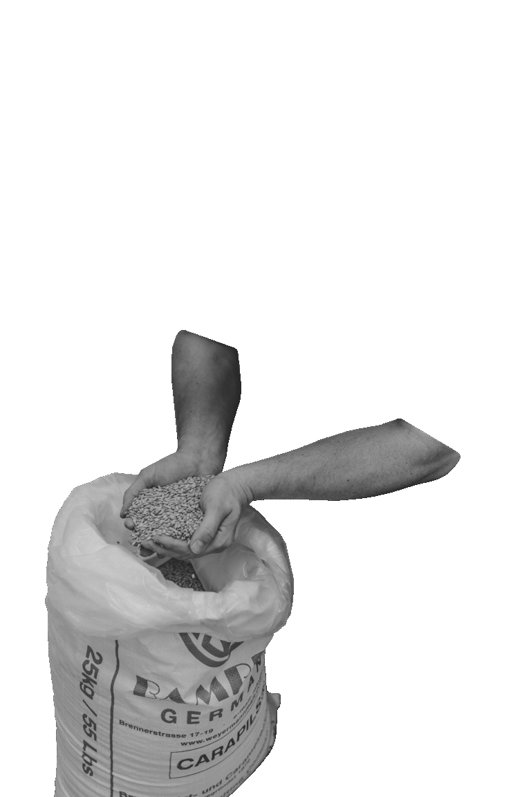 Hand mit Braumalz aus einem Malzsack in der Bielefelder Braumanufaktur